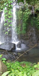 cascade - Bali