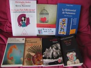 Achats à la Fnac - juin 2012