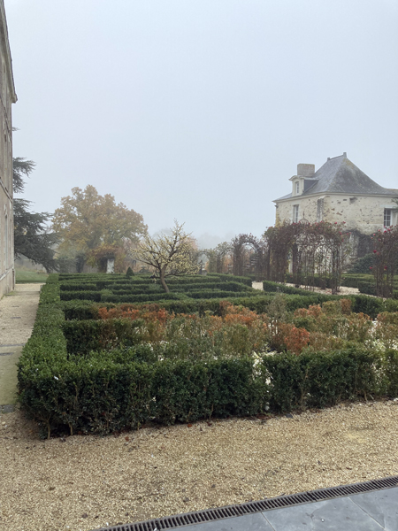 La roseraie par matin brumeux