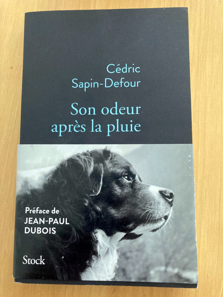 Première de couverture du livre "Son odeur après la pluie' de Cédric Sapin-Defour, aux éditions Stock. La couverture est noire et la police de caractère bleue. Il y a un ruban en papier avec la photo en noir et blanc d'un chien de la race bouvier bernois. Il est écit "préface de Jean-Paul Dubois".