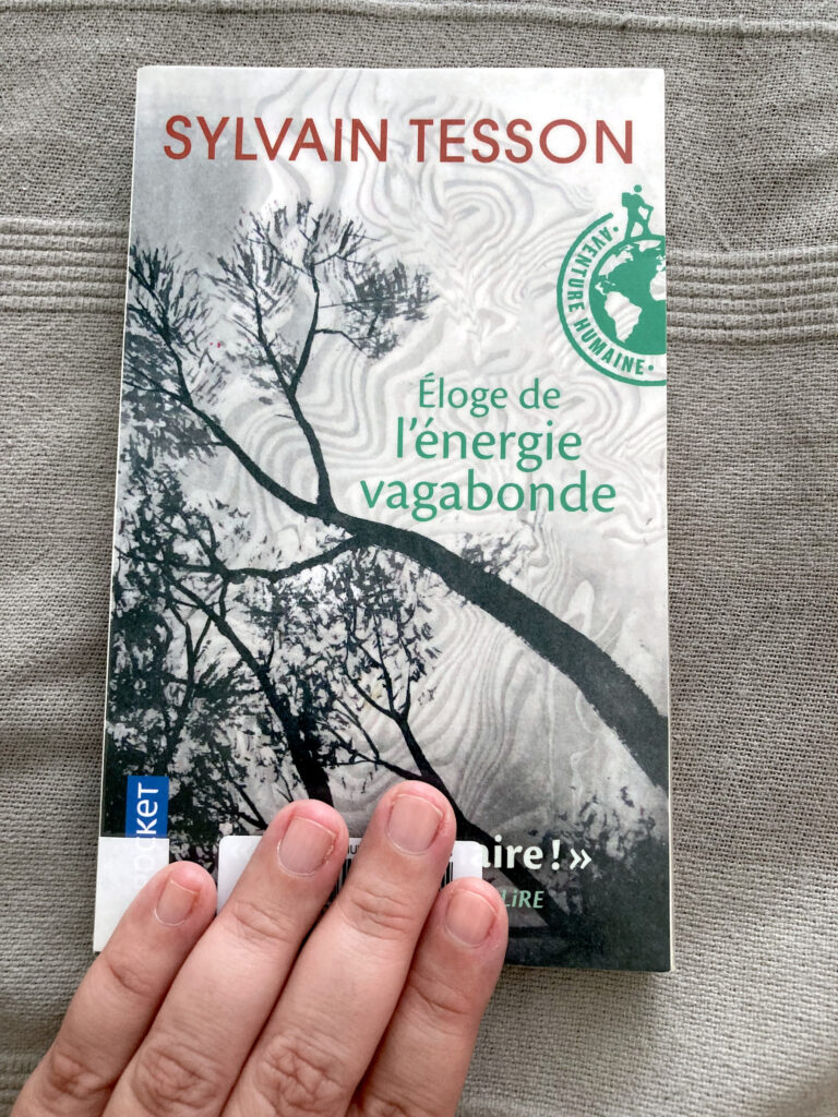 Photo de la couverture du livre de Sylvain Tesson intitulé Eloge de l'énergie vagabonde.